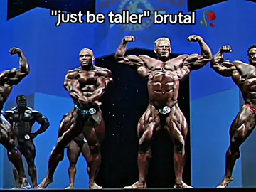 BRUTAL MOG 🥀 #fyp #denniswolf 