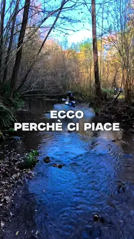 Foliage, colori che sembrano dipinti e sentieri quasi deserti. 🤎 Ecco perché ci piace. 🍁 L’autunno è la stagione in cui i boschi si aprono, i sentieri si svuotano e ogni curva diventa silenzio e libertà. È il periodo in cui ti godi davvero la moto. 👇 Tu cosa ami di più dell’offroad in autunno? O sospendi l'assicurazione?! Raccontamelo nei commenti. 👉 Seguimi che conosco una scorciatoia, facciamo prima 😎 👉 Unisciti al gruppo: https://t.me/maxienduro #maxienduro #offroad #motovlog #mototraveler #adventure         