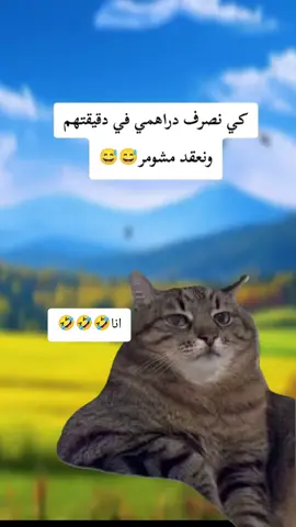 #Meme #MemeCut #CapCut  #viraltiktok #viral  @ضحك وتمهبيل شرات والمعاني✌ 