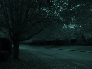 الدَنيـا ضحگتلي وخـذت منـي سَنيني🎧💔.! . . . . . #بنت_عَلي🗽 #باسم_الكربلائي #قصائد #quran #dancewithpubgm 