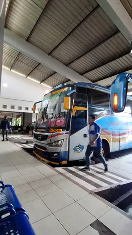 Tegurlah jika sopir pelan 🐬#sugengrahayu #sumbergroup #busjawatimuran 