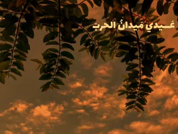 عَيــدي ميـدانُ الــحرـبي#باسم_الكربلائي #قصائد #foryou 