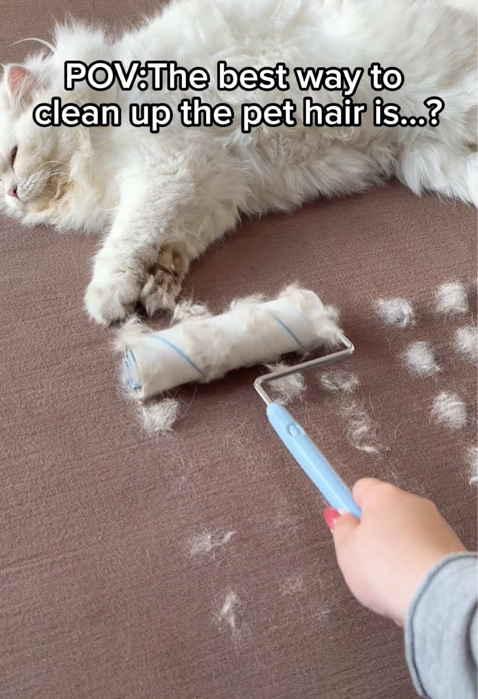 The best way to clean up the pet hair is…?#pethairremoval #pethairremover #petproducts #TikTokShopBlackFriday #fyp 