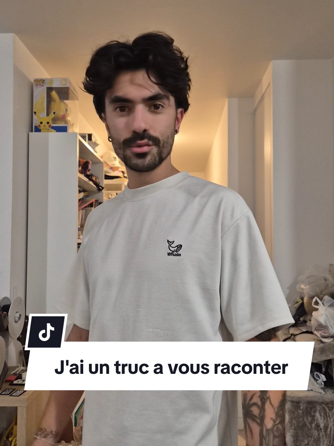 L'histoire est folle 