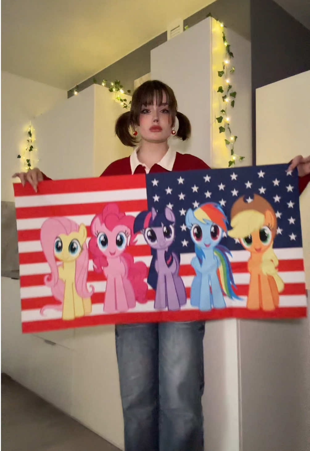предлагаю создать петицию по переделыванию флага сша #usa🇺🇸 #mylittlepony 