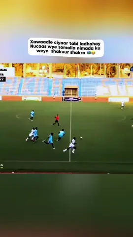 Wariyihi dhama sarifyo qaade 😂😂😭#xawaadle #kululeye 