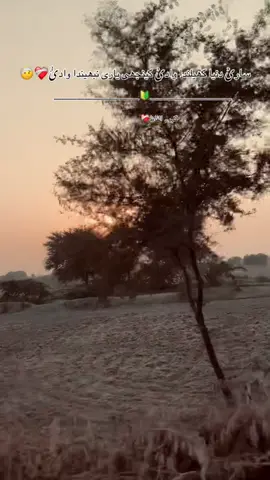 کیوں منہ دا الا چھوڑ گئی؟؟❤️‍🩹#سرئیکی۔سونگ #فُل_غزل❤️‍ #unfreezemyacount #@فُوزِِیࣿ🍂 