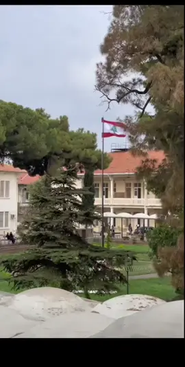 #عيد_الاستقلال_اللبناني🇱🇧 