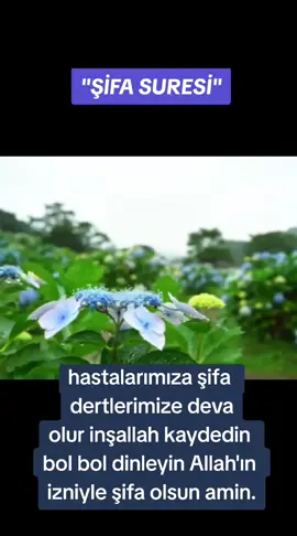 şifa olsun inşallah amin 🤲#tiktokbeniöneçıkart #tiktokbeniöneçıkart 