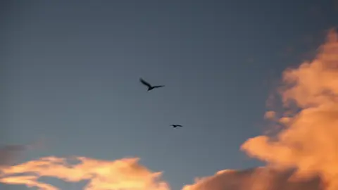 Blue hour in nyc #nyc #filmmaking #movie #cinematic #fypage 