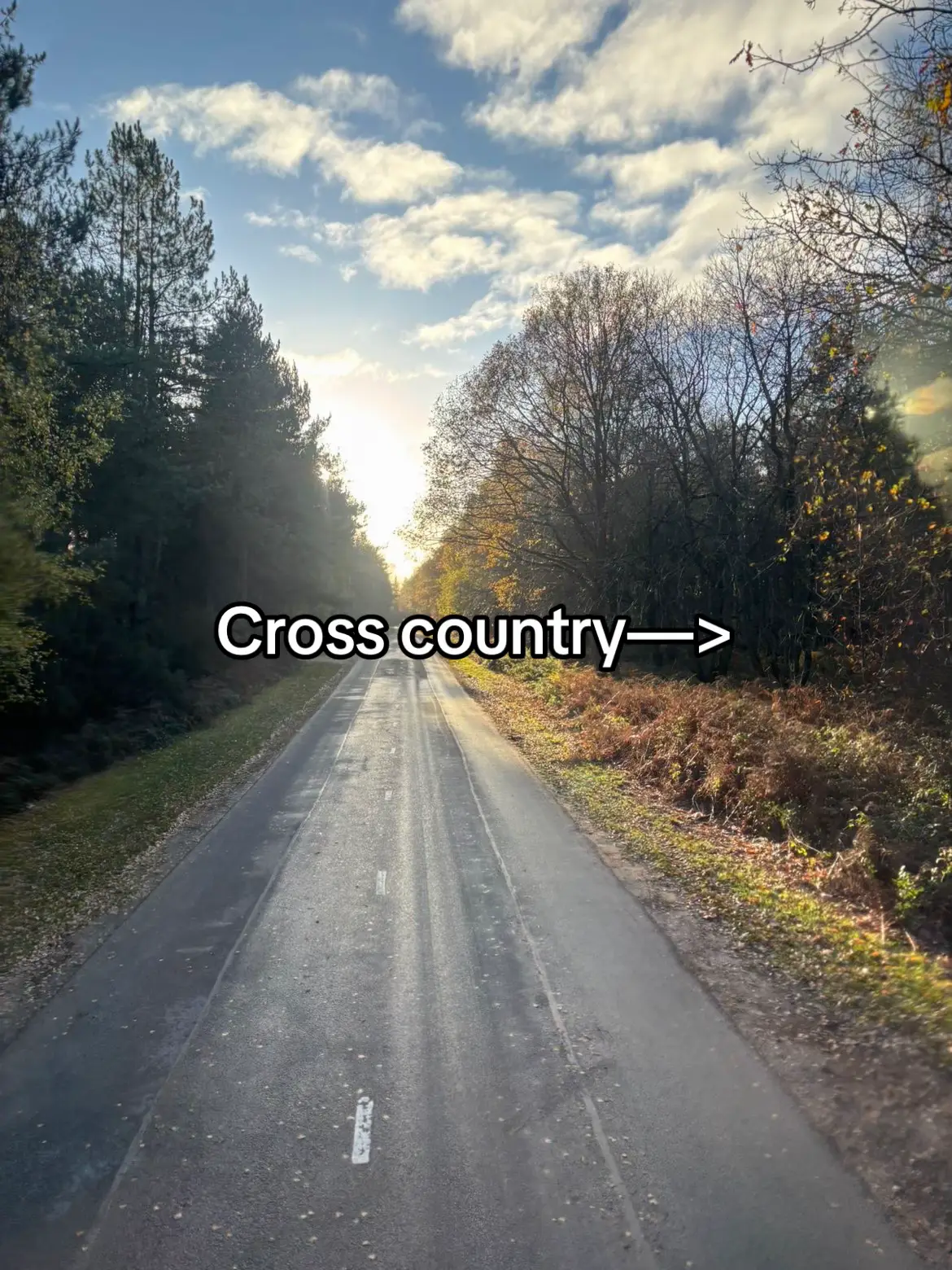 Tag yoursen @freya 🎄 @☃️ @bg.bov20 @Destiny Lee @jorge_5a5 @?K.scoots 