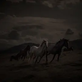 #ئەکتیڤبن🥀🖤ـہہـ٨ــہ #ئەکتیڤ_سفڕە_یەک_تۆز_ئەکتیڤ_بن_دڵەکان😻💔 