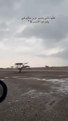 #تصويري📸 -بإذن الله معجزة ربانية قادمة إليك تحمل العوض.🌿🌨️