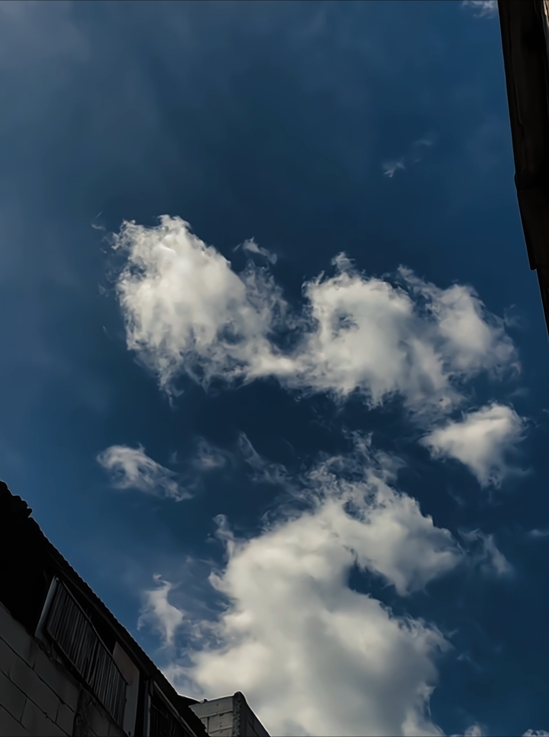 asekk🎧🤙🏼 #overlay #liriklagu 