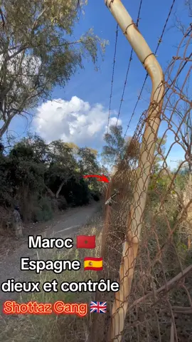 #videoviral #videoviral #videoviral #videoviral #videoviral 