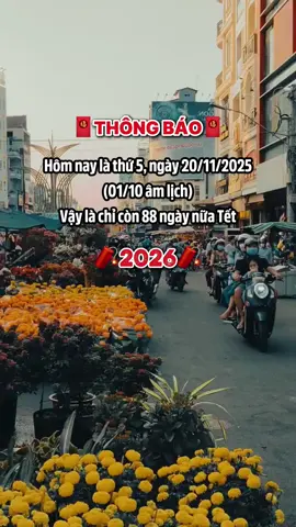 88 ngày #tetnguyendan2026🧧🎆🧨 #tetbinhngo #venhaantet #tet2026 #vequeantet 