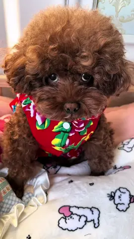 Đâu có nghĩ tới cảnh này 🤣