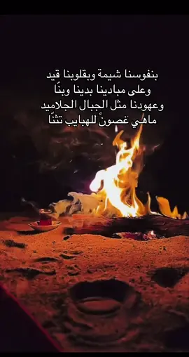 ‏اقّدر الطيّب واجازيه بالطيب ‏ولا الردي ماهمني وش وصفني .#شعراء #قصايد_شعر_خواطر #funny #fyppppppppppppppppppppppp 