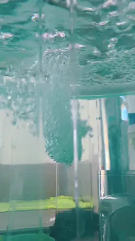 #humor #f #water #fipシ 