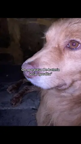 #humor #paratiiiiiiiiiiiiiiiiiiiiiiiiiiiiiii #viral #fyp 