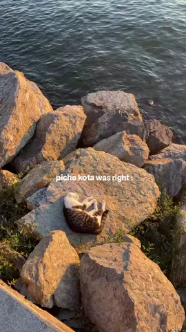 #fyp #xybca #sadsongss 