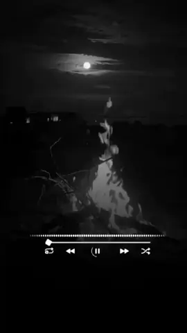 #شعر #اكسبلور 