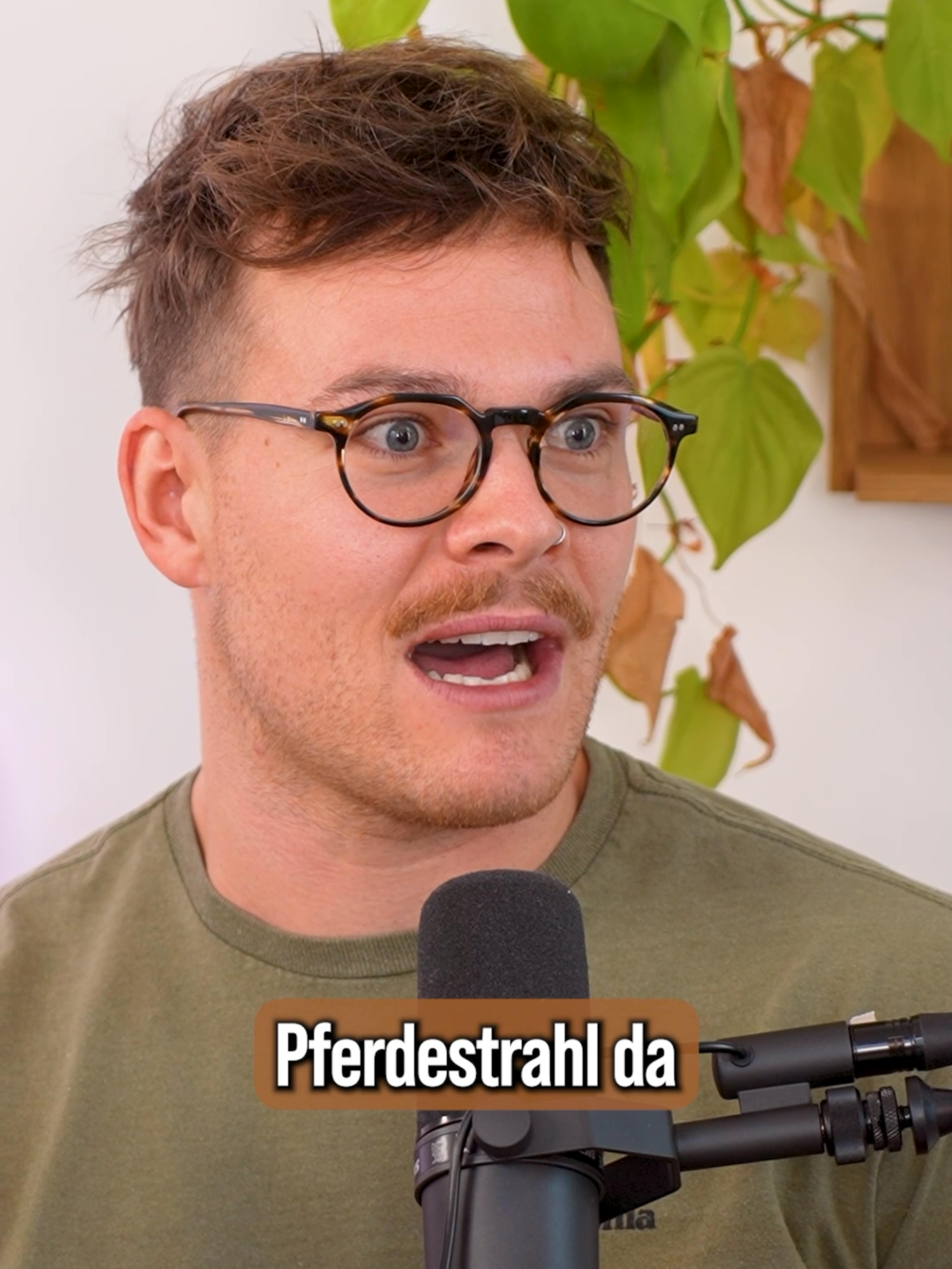 Besser Barbaras anziehen als Barbaras ausziehen ne #dienervigen #dienervigenpodcast #juliabeautx #joeysjungle #storytime