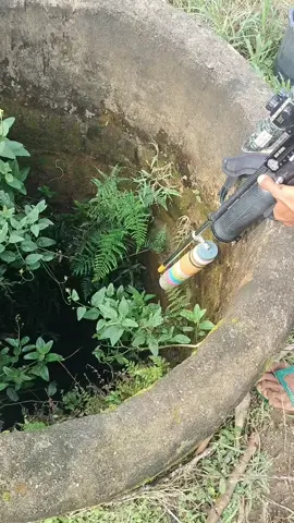 cobra dalam sumur sangat mengerikan 