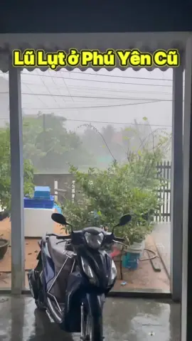 Lữ lụt ở phú yên cũ ở đông hoà , thọ lâm , cầu bi , trung tâm Đông hoà #duongbinhtruc #lũlụtphúyên 