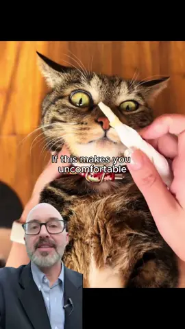 Your cat is showing you warning signs long before it becomes a real problem. Small habits matter more than people think. 🐾 Check your cat’s behavior, fix the root causes early, and support their health from the inside out. #usa #catsoftiktok #cathealth #vet #usa_tiktok 