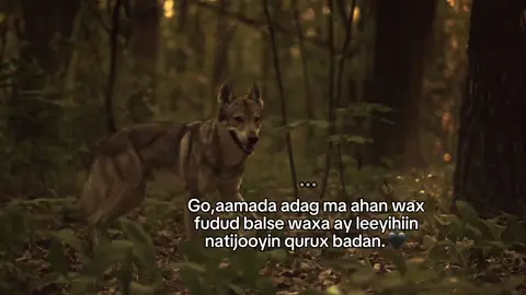 ...♾️🖤 #foryou #viraltiktok #fyp #viraal 