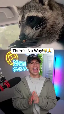 Dog horrified watching this 😭😭💔