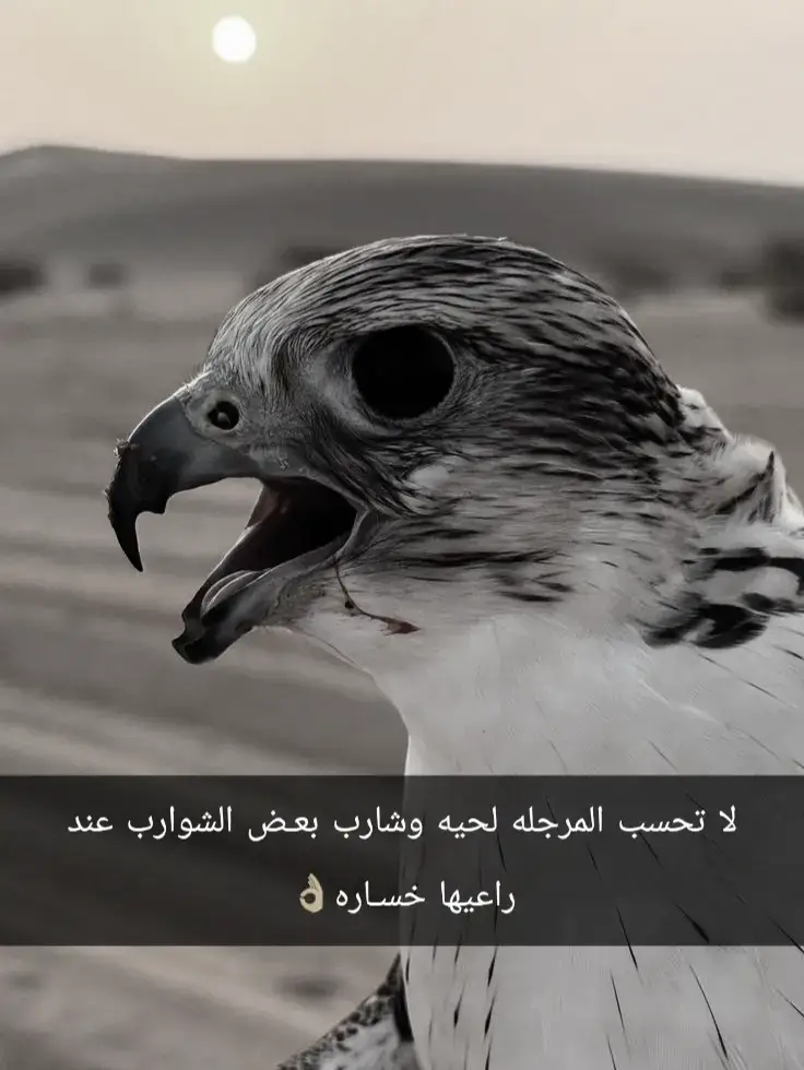 #عباراتكم_الفخمه📿📌 #شيلات_حماسيه 