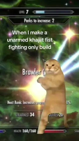 #Meme #MemeCut #CapCut #skyrim #fyp 