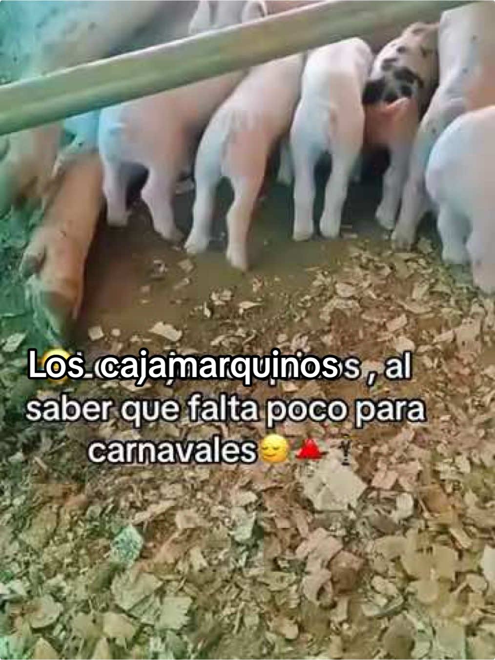 Cajamarca#cajamarca_perú🇵🇪 