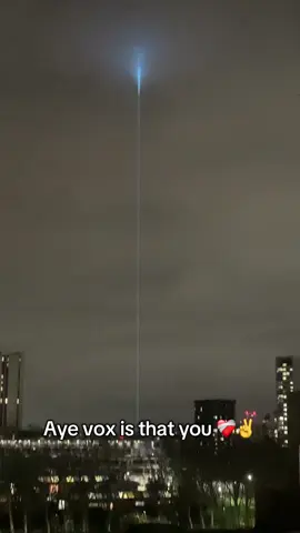 Vox?? #fyp #vox #hazbinhotel #whatisthisgng #trend 