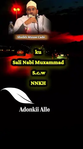 Wardi La Aanta #Adoonkii_Alle❤️  #اتق_الله_Alle_Aanka_Cabsano Markasta #Nabikeena_Aan Ku_Salino Markasta #Sheikh_Saalax_Molin 
