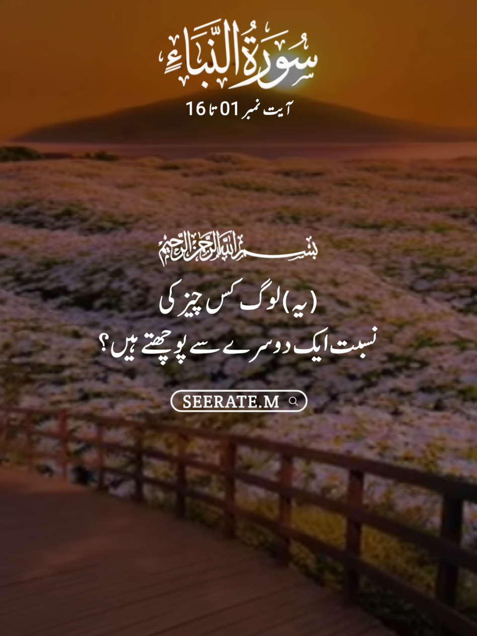 Quran kareem with translation 😍  surat naba ayat no 1 to 16 #quran #hadees #islam #seerate_m #viral 
