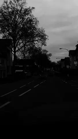 حمل ماشالته جبال 💔🥺  #muhama__1_  #viral #foryou #fypシ #fyp 