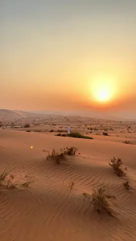 وَكَيفَ يَا رَبُّ نَخشَىٰ مَا نُكَابدُهُ ‏,,,وَفِي حِمَاكَ يُضِيء الفَألُ وَالأمَلً