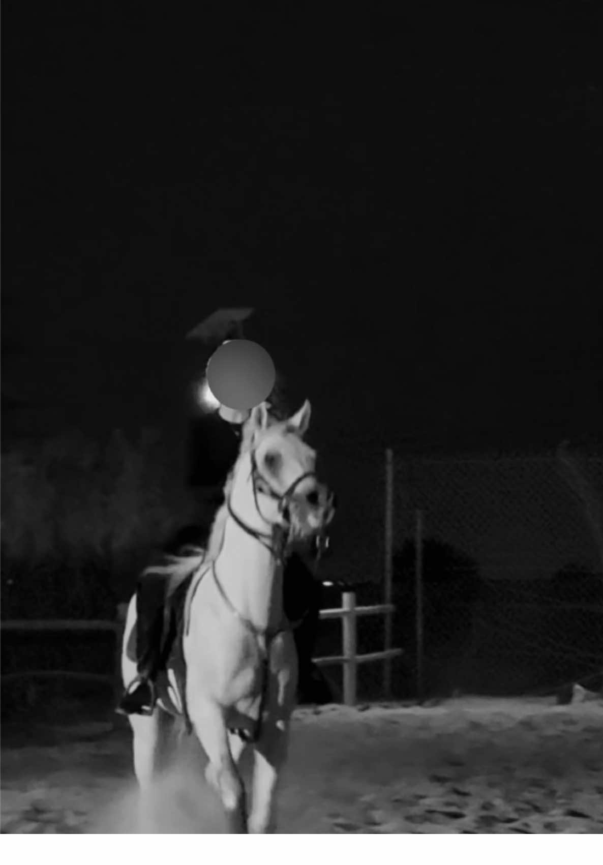 #خيل_وخياله🐎 