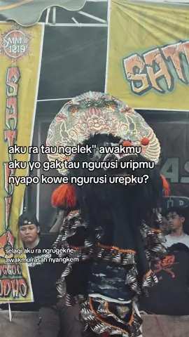 #joyodroto #kakdroto 