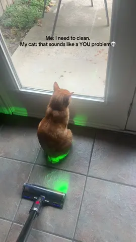 He is like I’m not moving☝️😼 #catmom #biscuits #catsoftiktok #orangecatsoftiktok🧡 