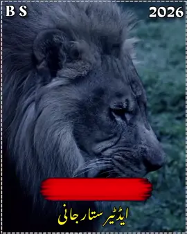 #creatorsearchinsights #پشتون #تاجیک #ہزارہ #زندہ @Imran Khan Official @کینگ ZK @🥀𝐒𝐡𝐚𝐦𝐬 🦅𝐁𝐚𝐜𝐡𝐚🥀 @maniwal saab @👑𝗶𝗺𝗿𝗮𝗻 𝗸𝗵𝗮𝗻👑 @👑HONDA lovers 125👑 