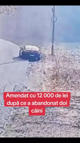 S-a întâmplat în comuna argeșeană Budeasa.