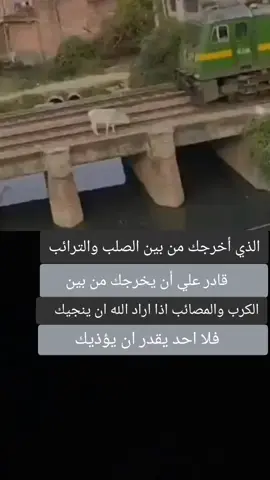 #الحمدالله_علی_کل_حال #مشاهدات100k🔥 