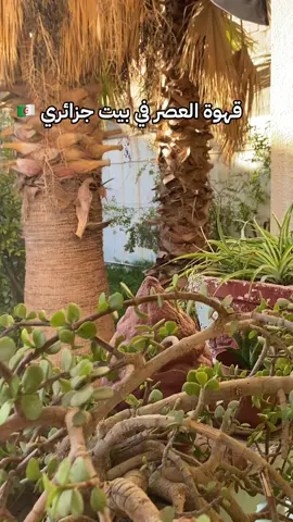 #explore #قهوةالعصر #الجزائر🇩🇿 #حلويات #جزائري🇩🇿 