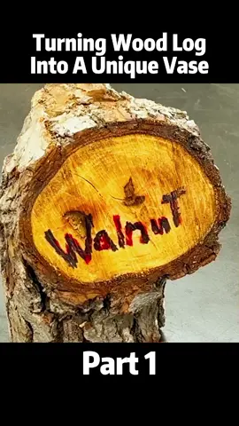 Turning Wood Log Into a Unique Vase | Part 1 . . . . #woodworking#woodworkingtips #woodwork #woodworkingprojects #howitsmade 