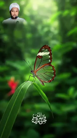 21:25 صل الله عليه وسلم صل الله عليه وسلم  @Muniir Aadan ⚡ @طاهر عبد 