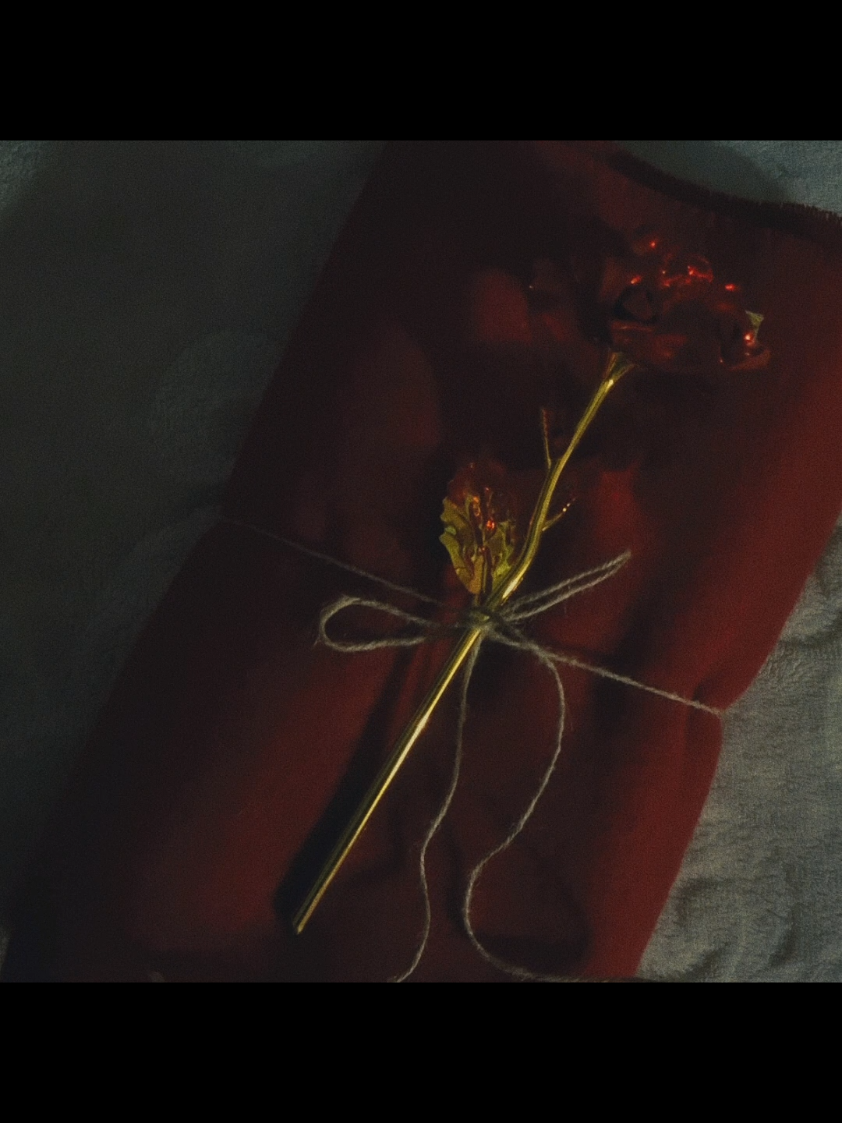 #CapCut #fyp #explore #اكسبلورexplore #fyppppppppppppppppppppppp  November ❤️